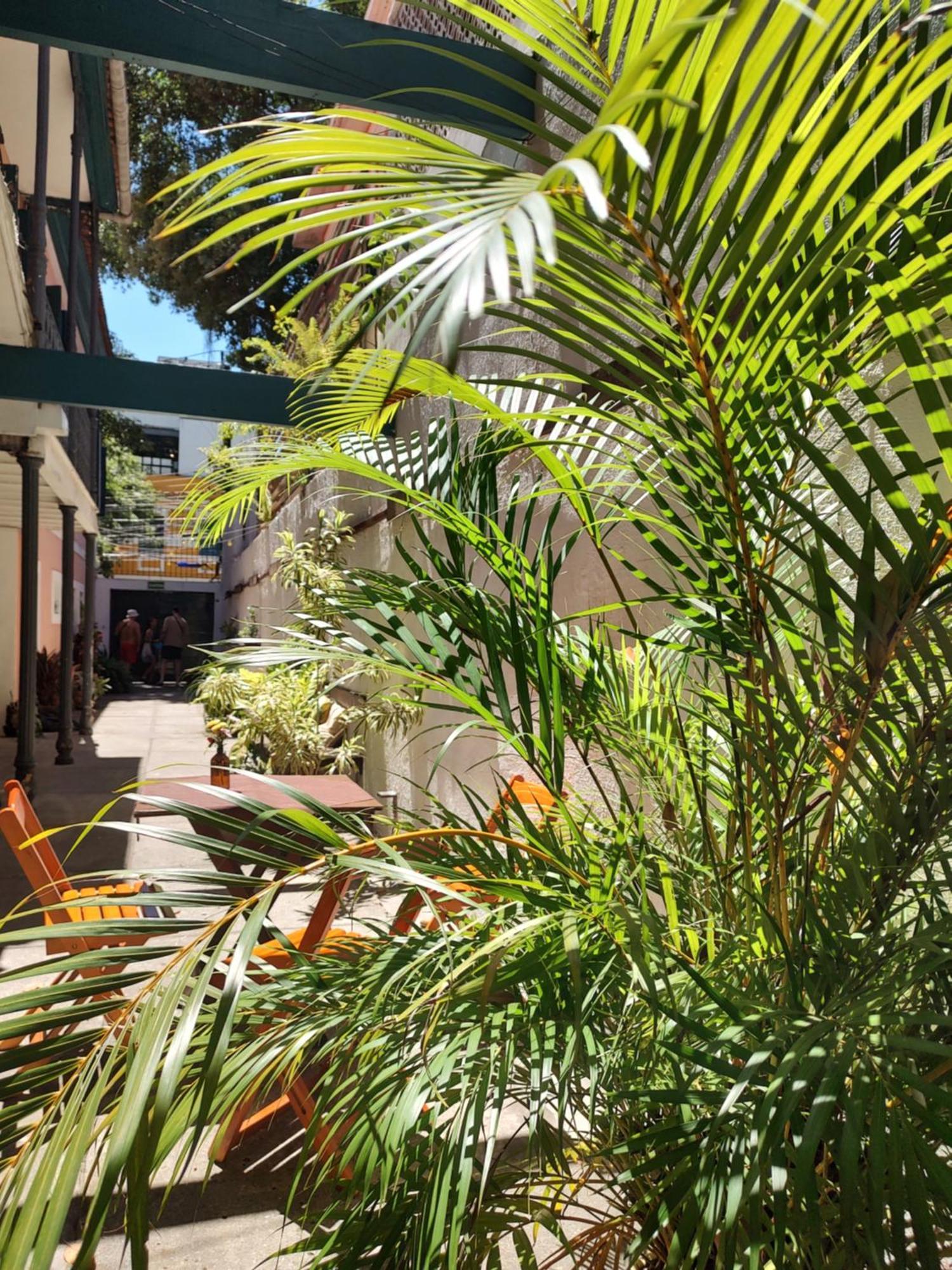Hospedaria Rio Rio de Janeiro Exterior foto