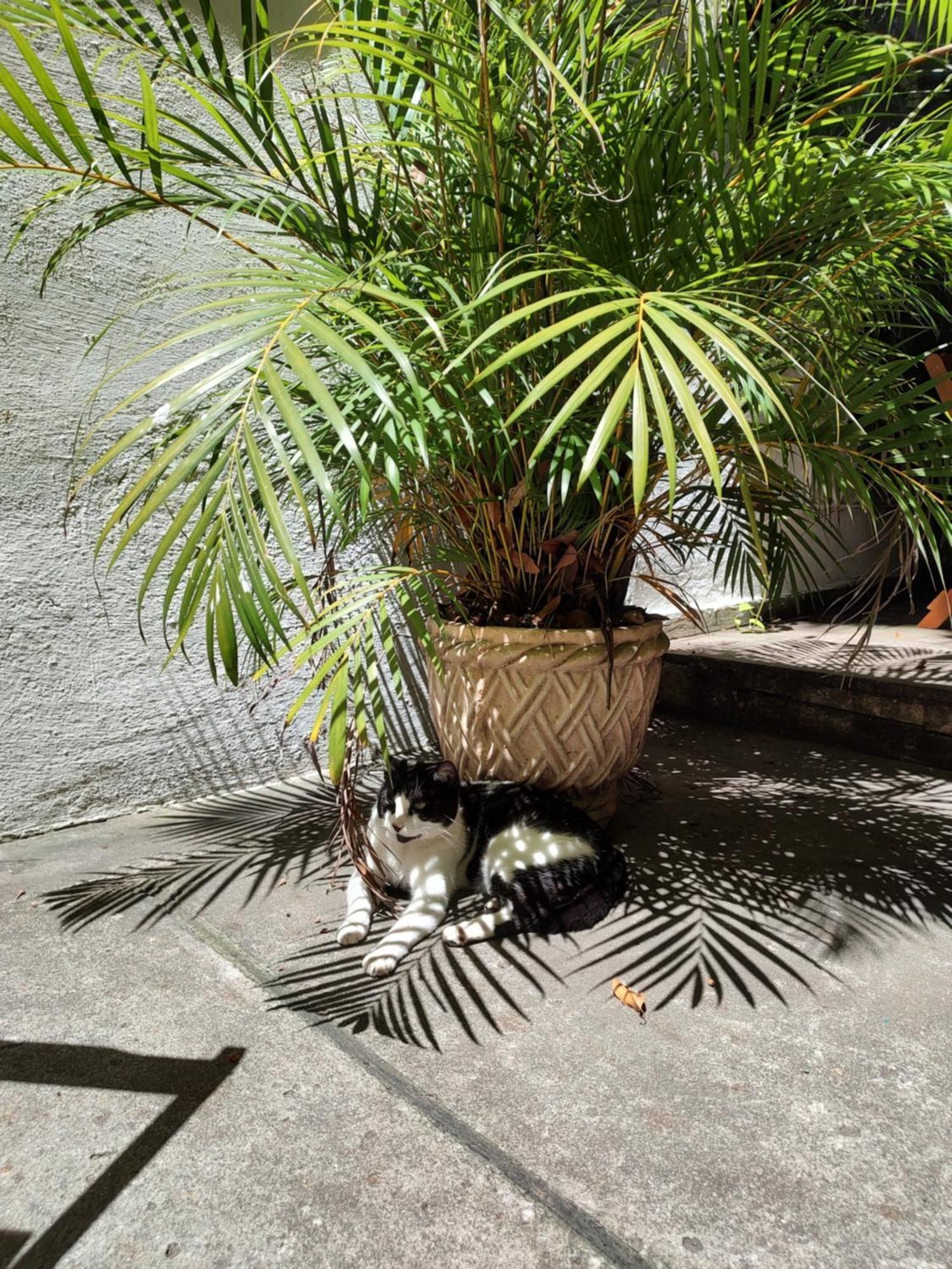 Hospedaria Rio Rio de Janeiro Exterior foto